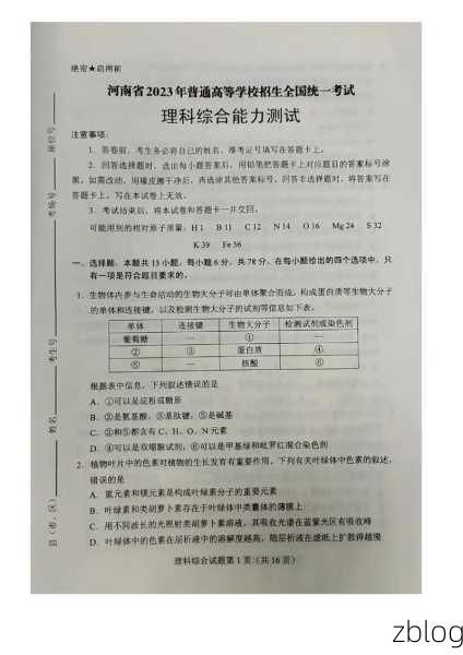 迷你西游顶尖阵容揭秘,打造无敌战力的绝密策略