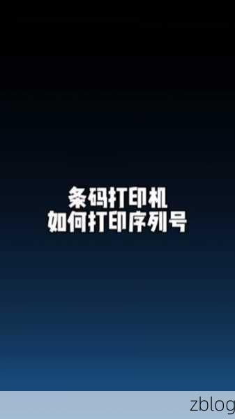 探秘 dlabel 云标签,数字变动设置秘籍