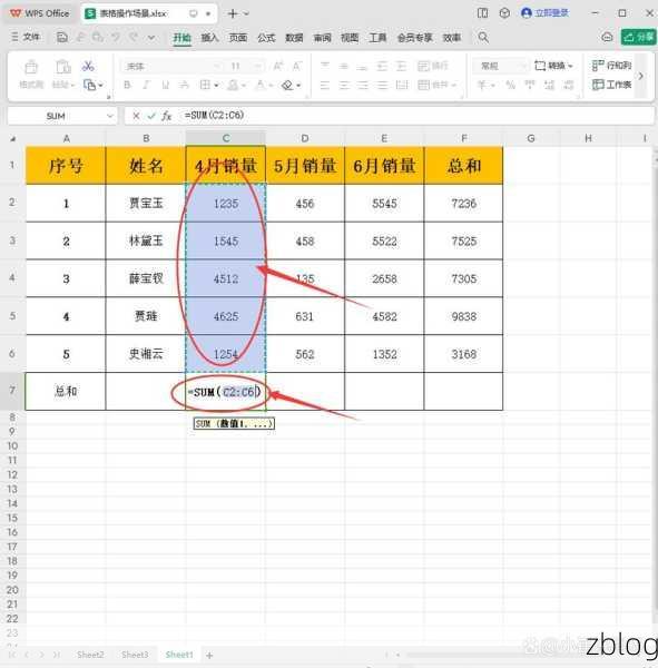 WPS 表格分类求和秘籍,让数据处理更高效