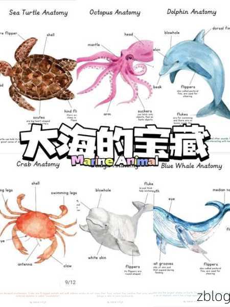 几丁质是关键,探秘海洋宝藏:几丁质的神奇力量