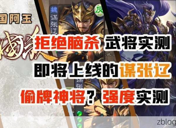 手游神将揭秘,三国杀谋张辽技能全解析,战场上的突袭利刃!