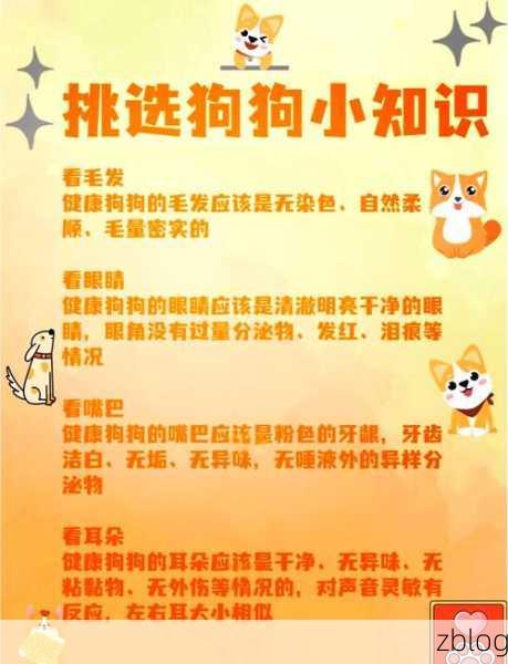 家有小店宠物养成秘籍,打造你的萌宠天团!
