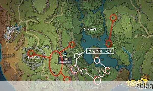 原神须弥星蕈采集攻略,全图分布详解,助你轻松收集