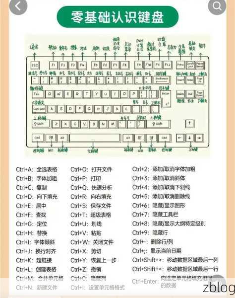 新庄园时代电脑版按键设置秘籍