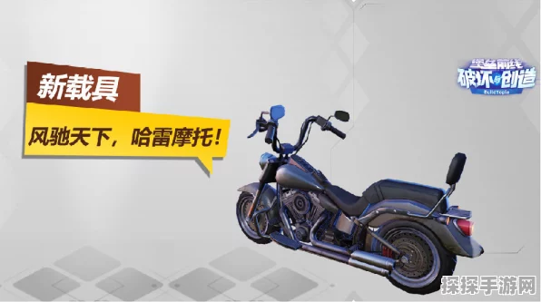 文字玩出花之动物哈雷 通关秘籍大公开