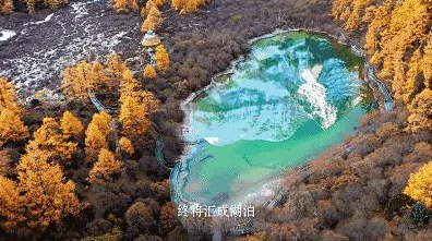 洛克王国漂流探险全攻略，解锁探险新玩法，打造顶尖探险家