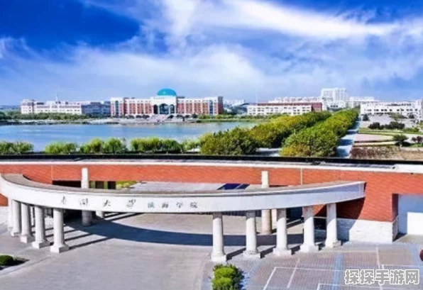 经典落幕！运营7年老牌手游正式宣告关停，昔日战场辉煌不再