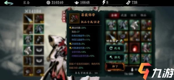 影之刃3深度剖析，山河之志支线任务全攻略，助你称霸江湖