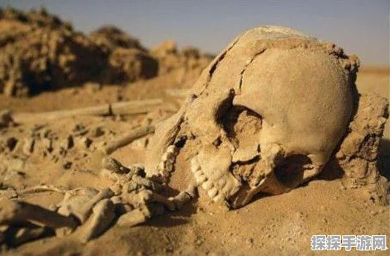 洛克王国探险家攻略，解锁成为顶尖探险者的秘籍