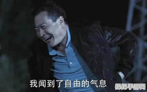 绝区零高手秘籍，揭秘小黑邀约任务完美触发攻略