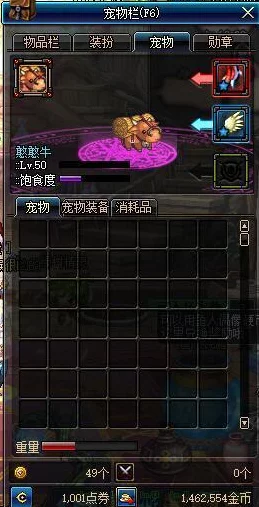 DNF手游宠物胶囊大揭秘，解锁战力飙升的秘密伙伴