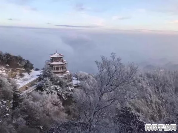 QQ飞车手游宠物获取全攻略，解锁萌宠，驰骋赛道新助力