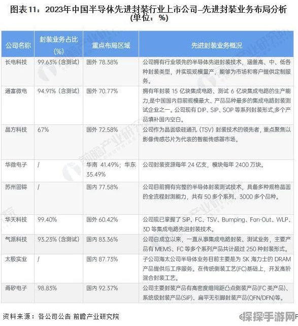 长兴游戏2024业绩辉煌，2025跨界布局半导体精密设备，手游界新动向！