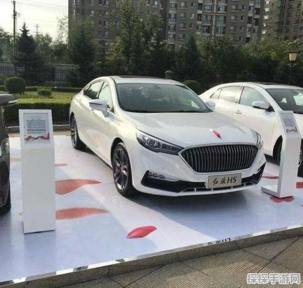 手游硬件新突破！集成电路研讨会揭秘游戏流畅秘诀