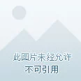 洛克王国手游，宁神技能宠物深度剖析与实战应用指南