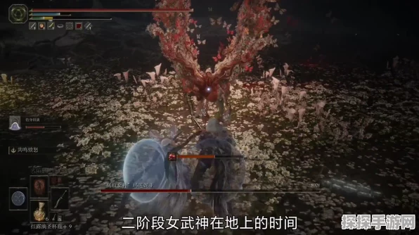 艾尔登法环手游深度解析，女武神支线任务全攻略