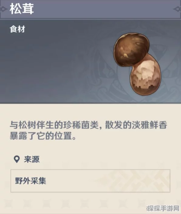 原神松果资源全攻略，速刷技巧与高效利用策略