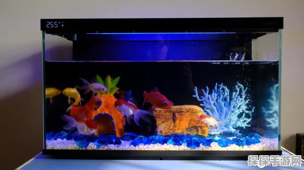 手游玩家必备！当贝智能鱼缸1 Ultra，599元打造梦幻水族世界