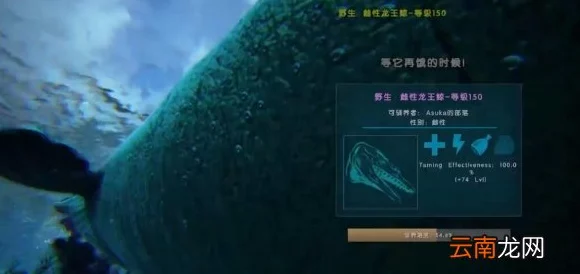 方舟生存进化手游深度攻略，龙王鲸驯服技巧与顶级饲料揭秘
