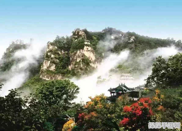探秘雾锁王国，丰富动物世界大揭秘