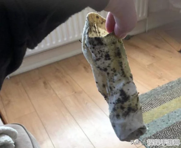 心动小镇星星公主猫咪的美食偏好大揭秘