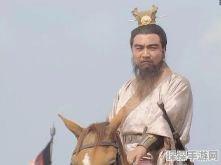 三国志曹操传，司马懿出装秘籍大公开
