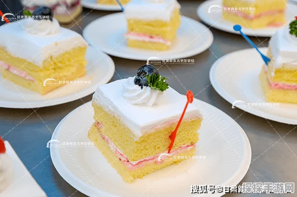 玛娜希斯回响，美味戚风蛋糕的烹饪秘籍