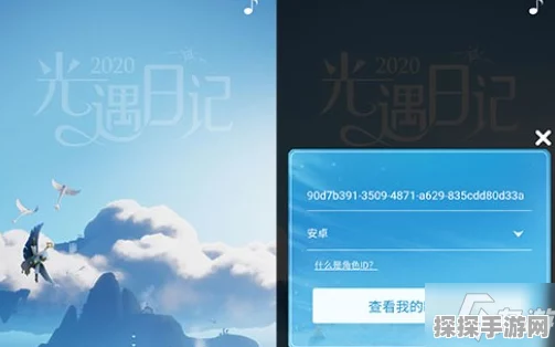 光遇 2024 年度总结轻松查看秘籍