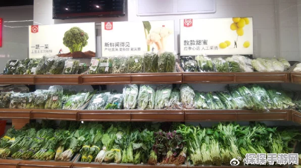 我是大房东，打造优选菜店秘籍