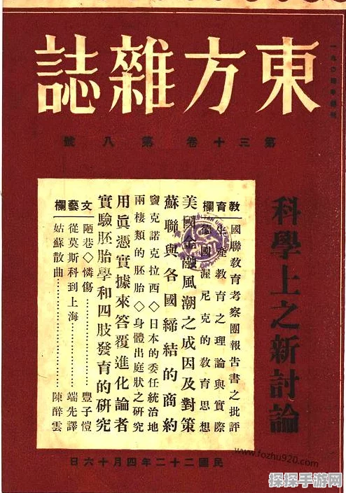 探秘东方资志疏的独特玩法
