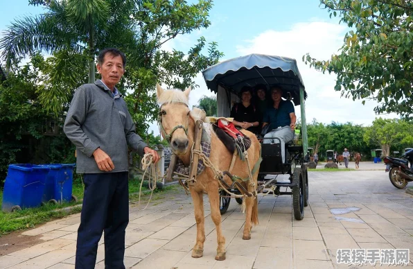 探寻蚂蚁帝国正式版的下载之源
