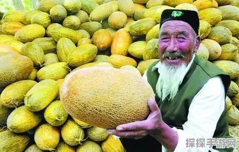 桃源深处有人家，哈密瓜探寻秘籍