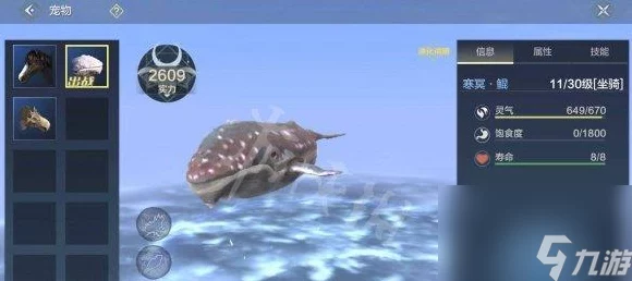 探秘妄想山海，寻找寄居蟹的神秘之旅
