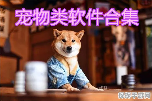 凌云诺宠物藏匿之处大揭秘