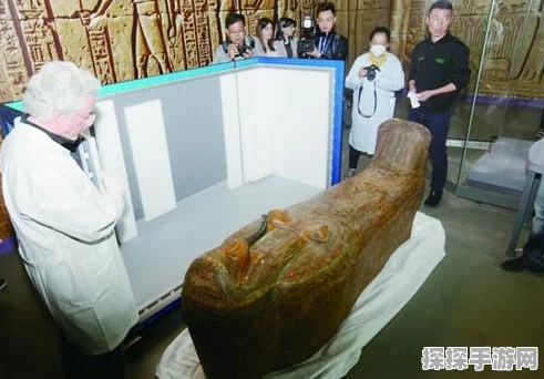 不朽之旅，职业搭配秘籍大公开