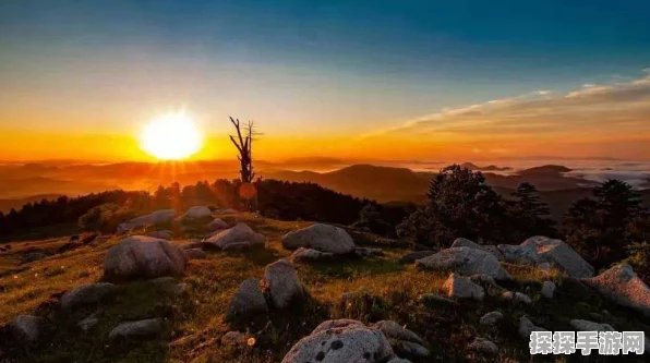 探秘太阳的尽头，独特玩法大揭秘