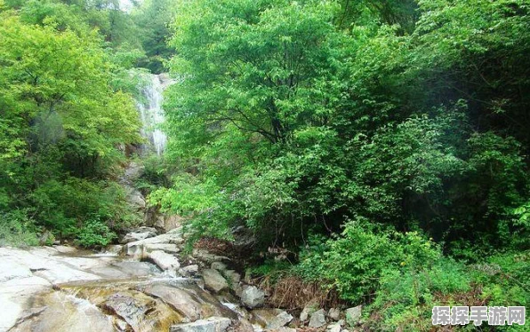 奇迹暖暖山麓欢歌完美通关秘籍
