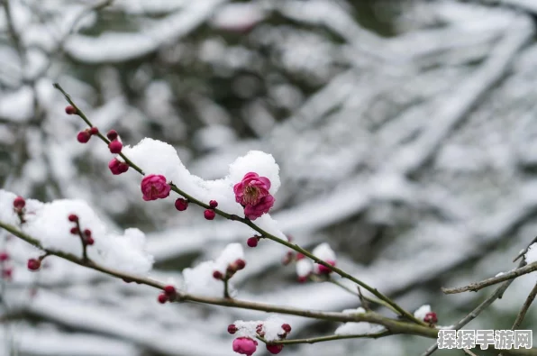 奇迹暖暖冰雪使者完美通关秘籍