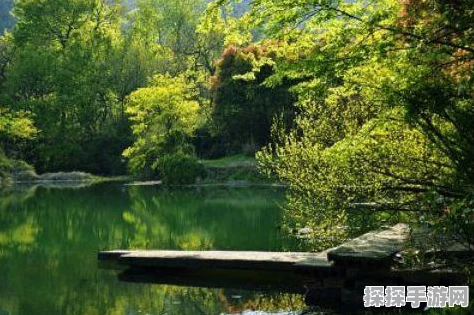 神秘之歌，生活难免走错路究竟来自何方？