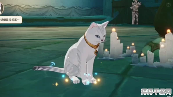 原神灰雪猫神秘面纱大揭秘