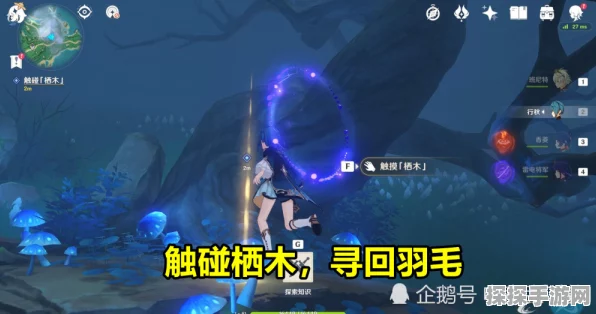原神雾海纪行次日，石头解谜全攻略