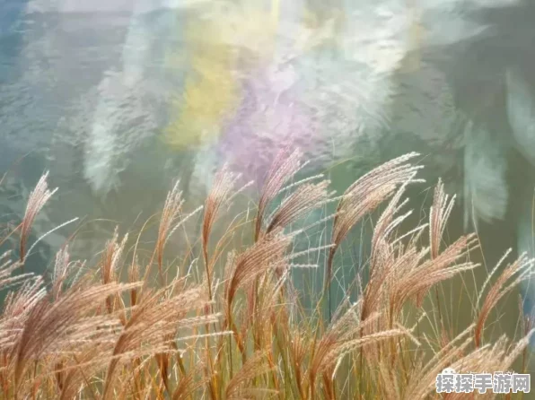 无限暖暖骑行跳跃秘籍大揭秘