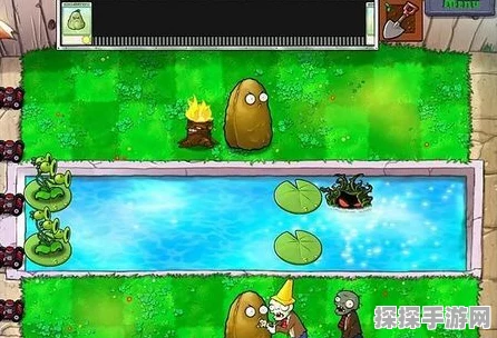 植物大战僵尸三连版下载秘籍大公开