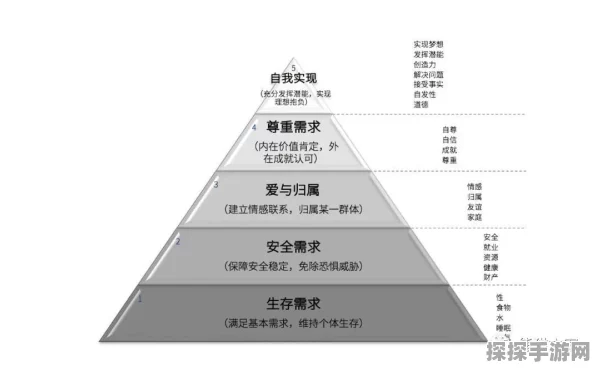 黄道信条内存探秘，全面解析内存需求