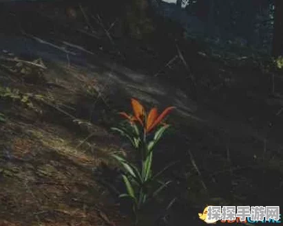 鸣潮探秘，龙吐珠采集绝佳路线指南