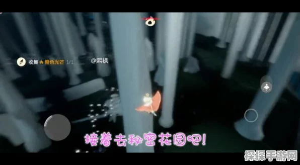 光遇神秘好友树兑换图大揭秘