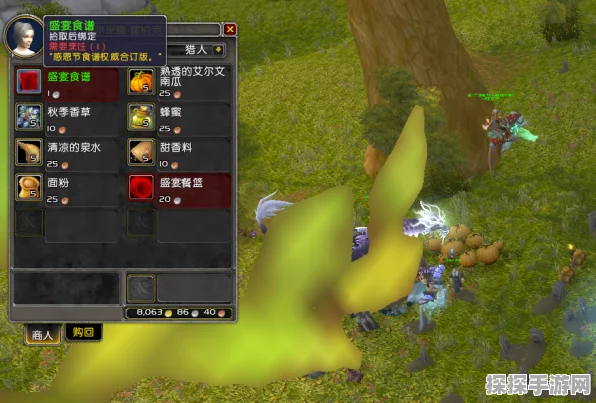 魔兽世界，找回丢失棋子的终极秘籍