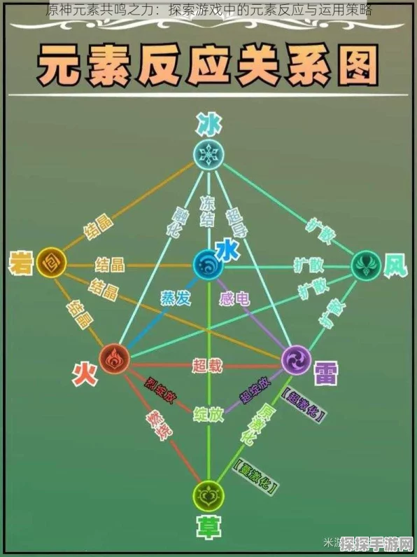 元素命运家庭共享之谜，全方位解析