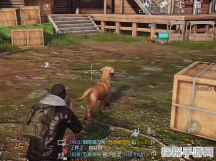 黎明觉醒，生机 养狗秘籍大公开