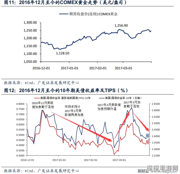 原神琴，培养价值深度剖析
